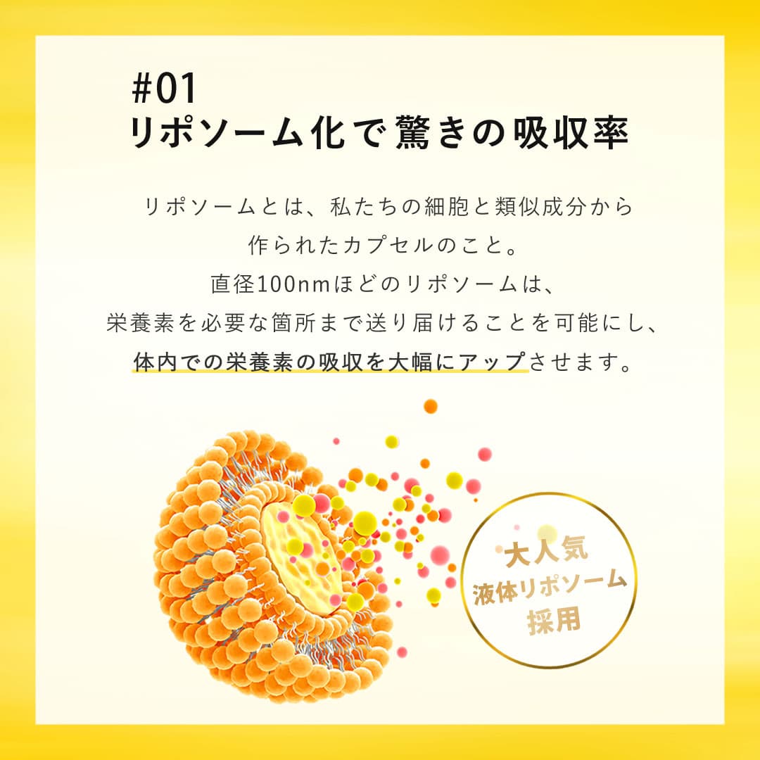 Lipo･Colla（リポコラ）リポソームコラーゲン 30包入り - 3