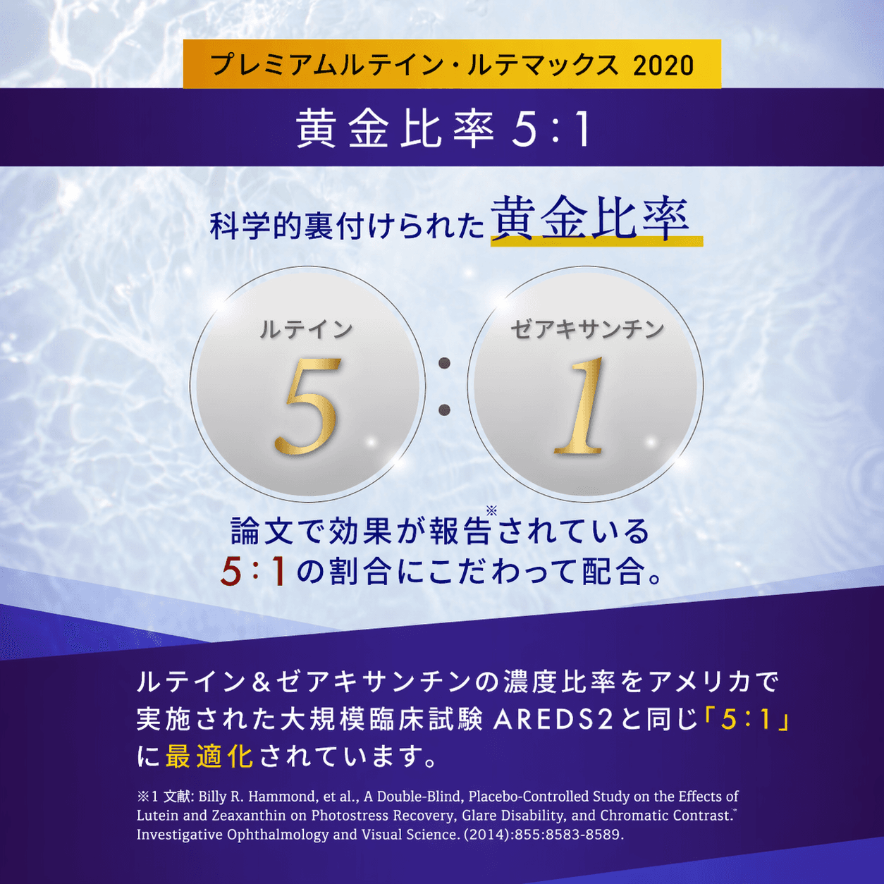 シスタチオン ブースター - 5