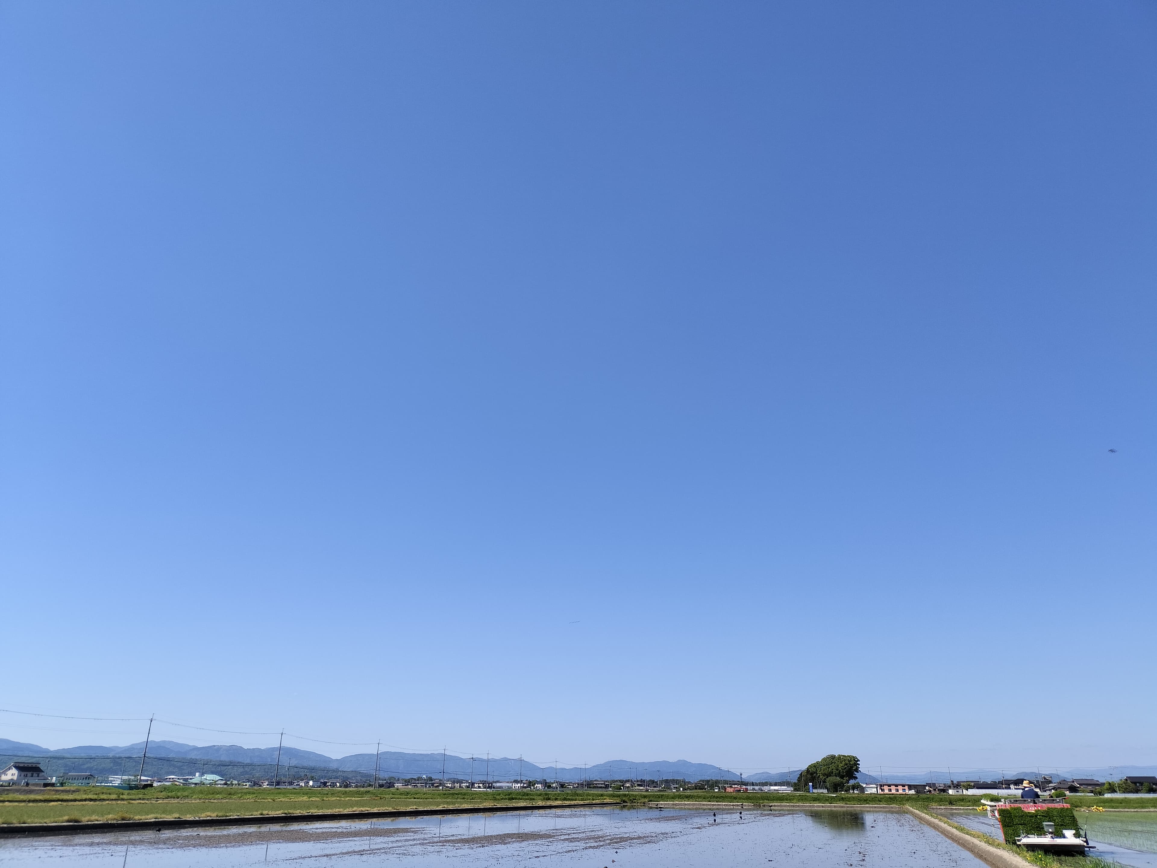 【送料無料・NFT付き】近江米 5kg 令和7年産 きぬむすめ 滋賀県高島市産 近江米 自家製 産地直送 玄米重量 <残留農薬検査実施済み> - 2