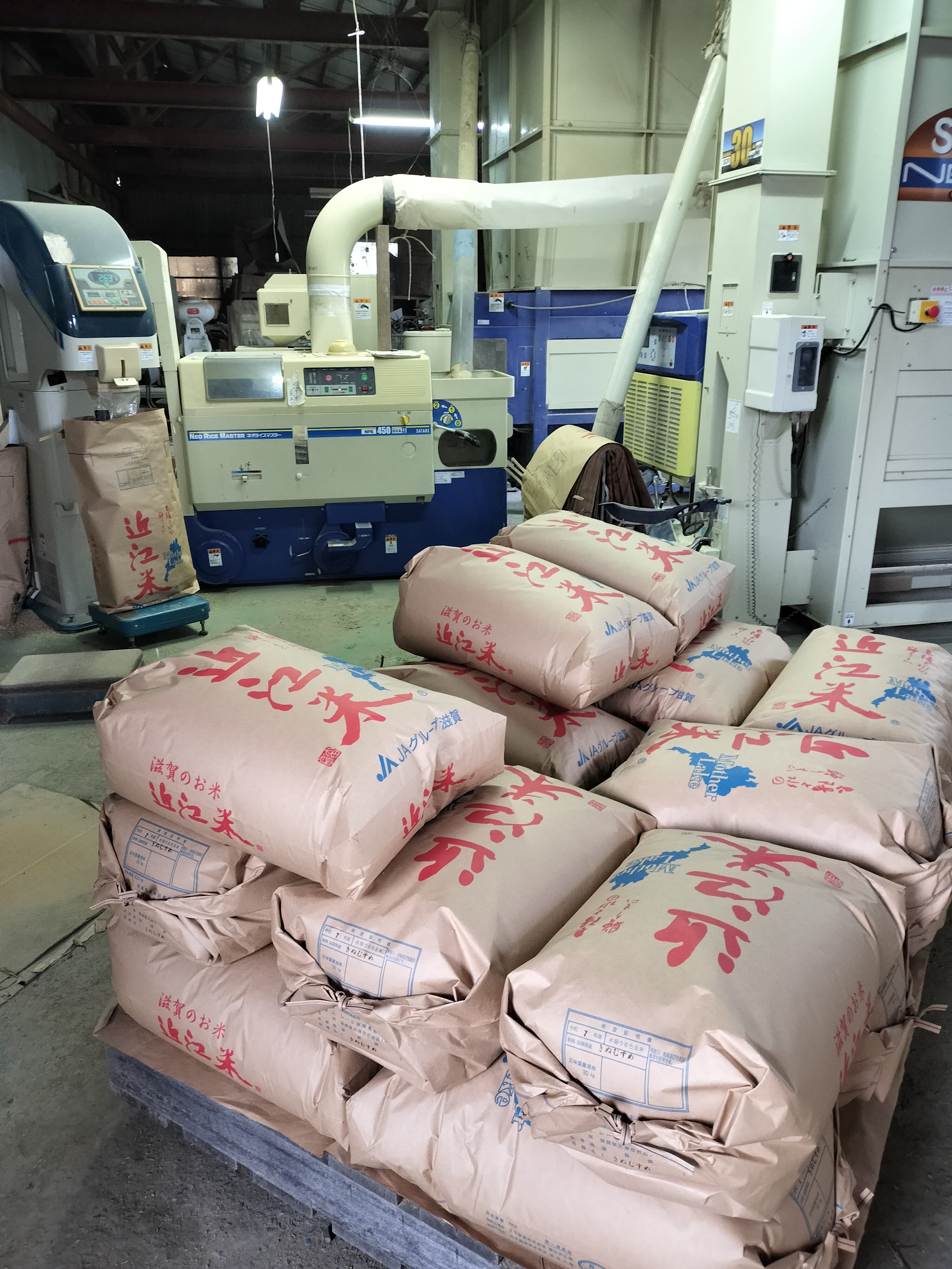 【送料無料・NFT付き】近江米 5kg 令和7年産 きぬむすめ 滋賀県高島市産 近江米 自家製 産地直送 玄米重量 <残留農薬検査実施済み> - 8