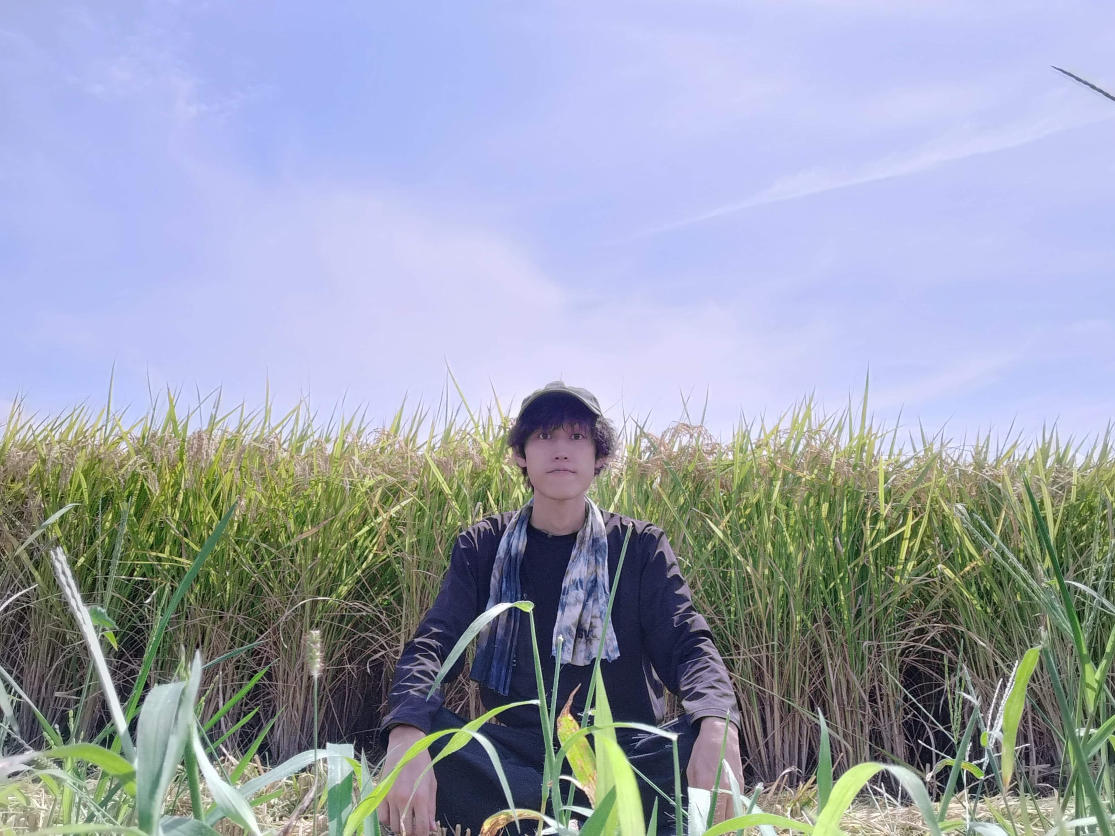 【送料無料・NFT付き】近江米 5kg 令和7年産 きぬむすめ 滋賀県高島市産 近江米 自家製 産地直送 玄米重量 <残留農薬検査実施済み> - 10