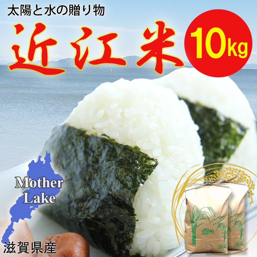 【送料無料・NFT付き】近江米 10kg 令和7年産 きぬむすめ 滋賀県高島市産 近江米 自家製 産地直送 玄米重量 <残留農薬検査実施済み>