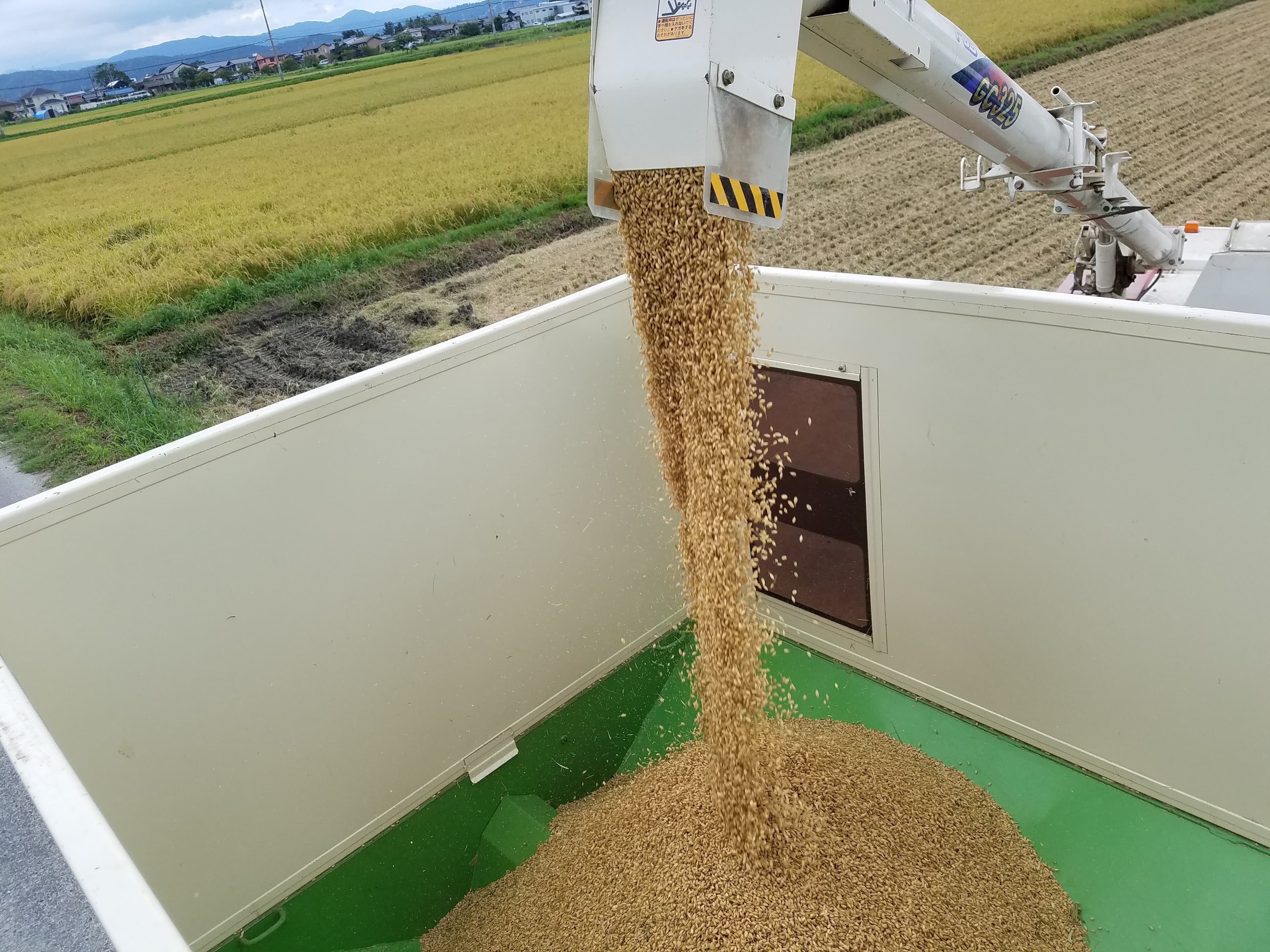 【送料無料・NFT付き】近江米 10kg 令和7年産 きぬむすめ 滋賀県高島市産 近江米 自家製 産地直送 玄米重量 <残留農薬検査実施済み> - 6