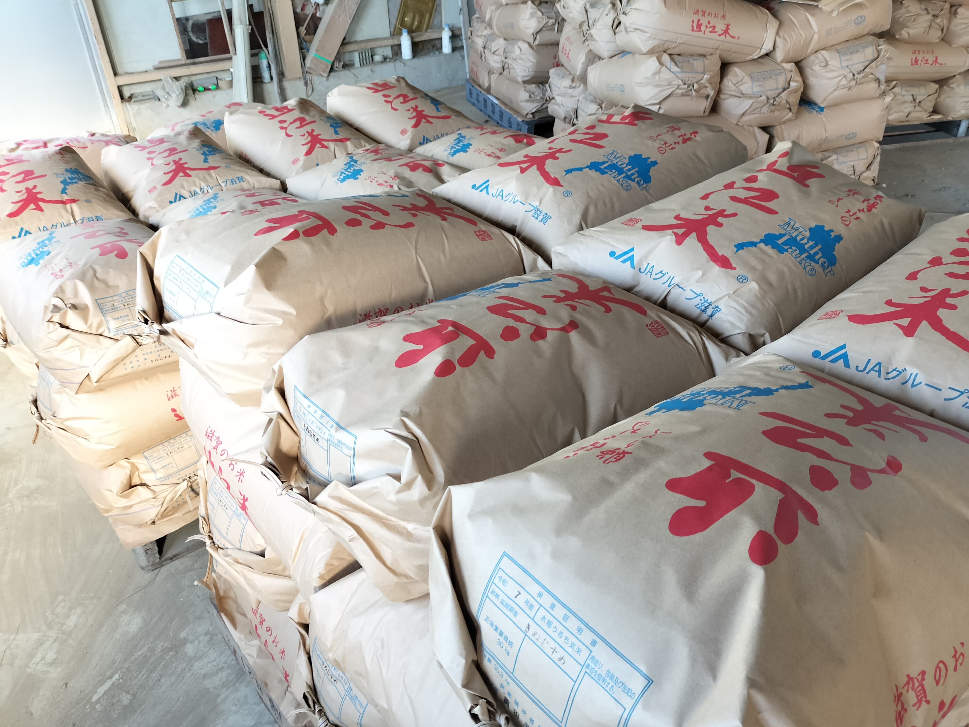 【送料無料・NFT付き】近江米 10kg 令和7年産 きぬむすめ 滋賀県高島市産 近江米 自家製 産地直送 玄米重量 <残留農薬検査実施済み> - 8