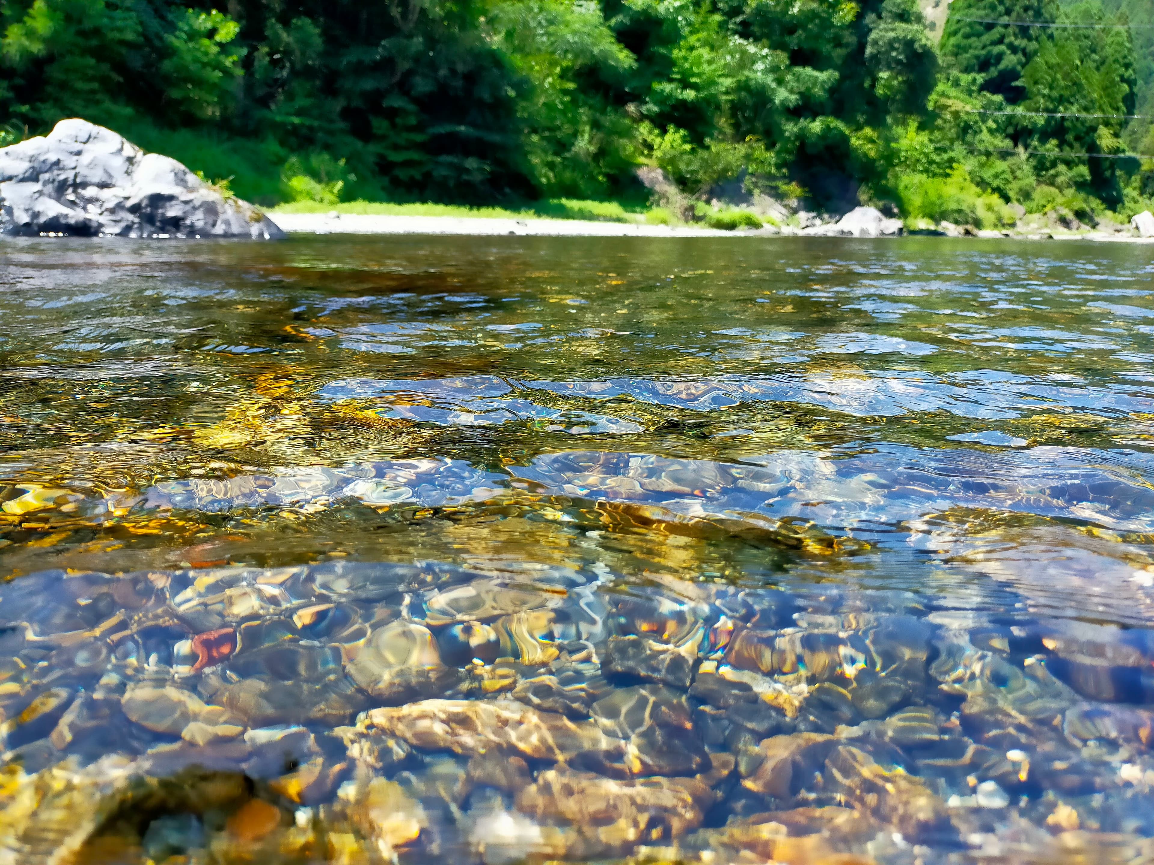 【送料無料・NFT付き】近江米 10kg 令和7年産 きぬむすめ 滋賀県高島市産 近江米 自家製 産地直送 玄米重量 <残留農薬検査実施済み> - 9