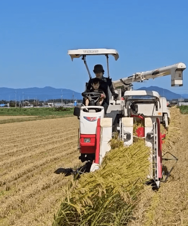 【送料無料・NFT付き】近江米 15kg 令和7年産 きぬむすめ 滋賀県高島市産 近江米 自家製 産地直送 玄米重量 <残留農薬検査実施済み> - 6