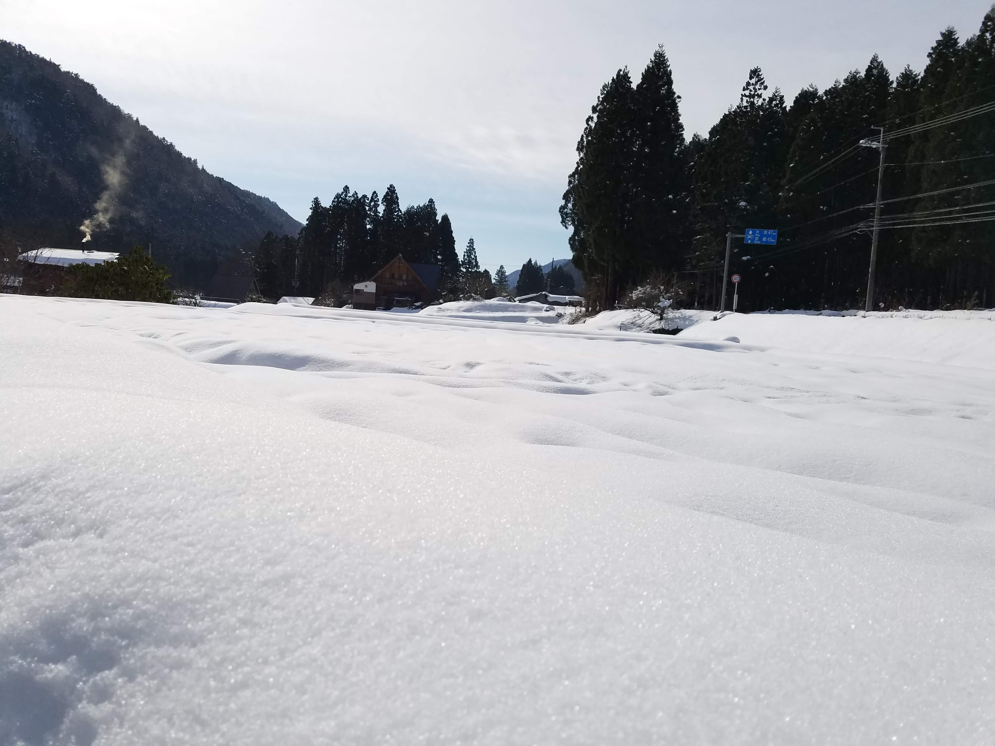 【送料無料・NFT付き】近江米 15kg 令和7年産 きぬむすめ 滋賀県高島市産 近江米 自家製 産地直送 玄米重量 <残留農薬検査実施済み> - 9