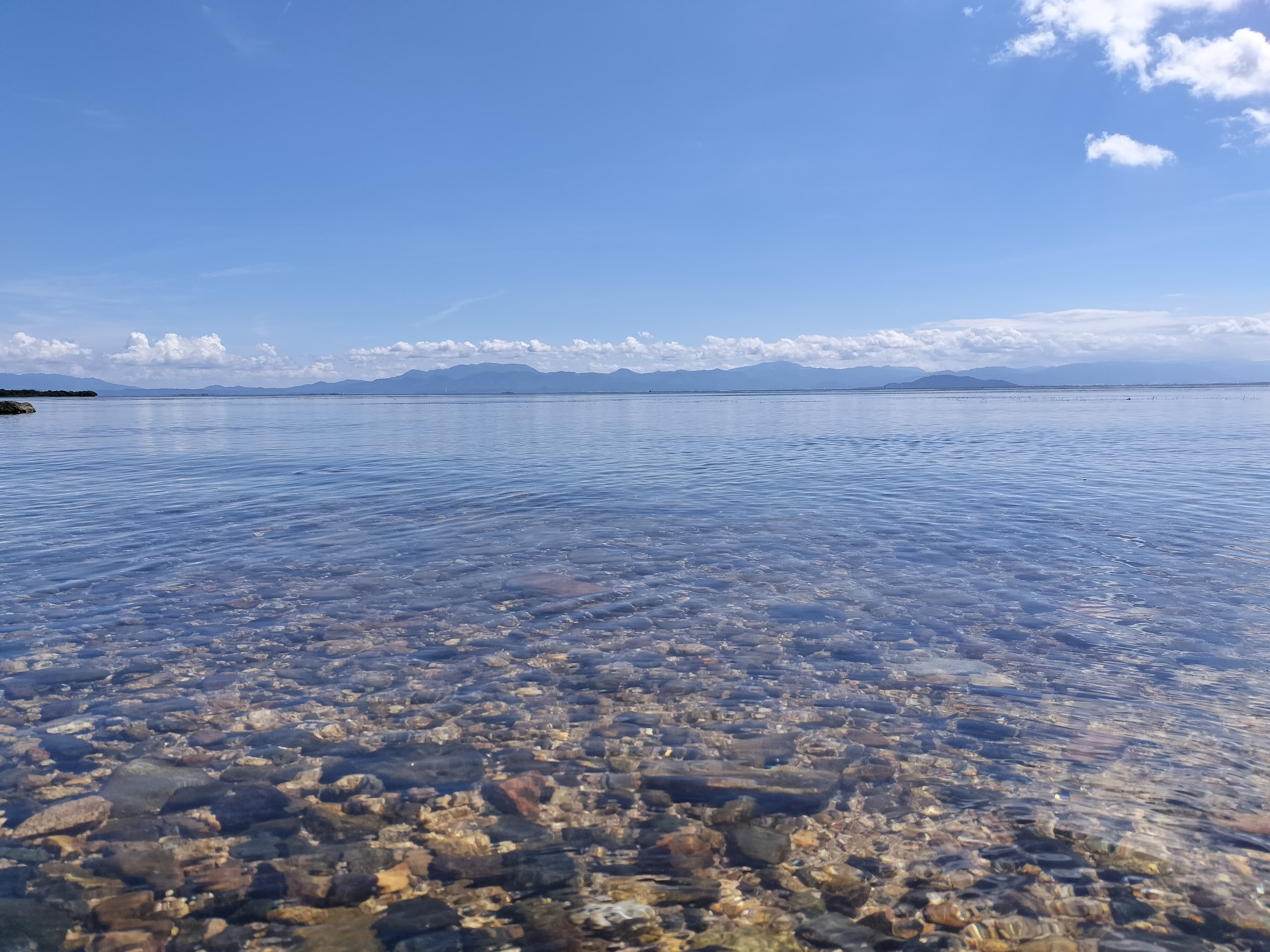 【オプション】 米農家支援 日本のお米を次世代へ繋いでいくために。支援証明NFT(SBT)プレゼント - 7