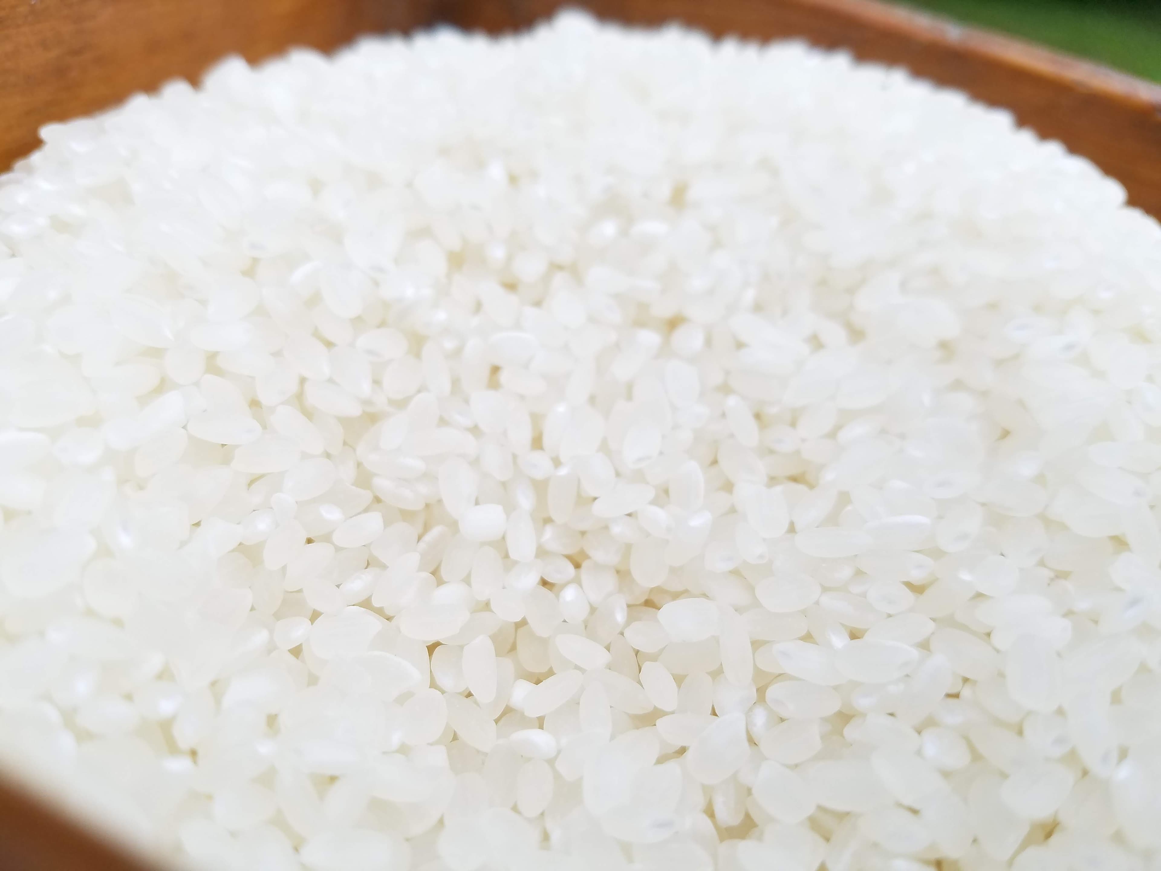 【オプション】 米農家支援 日本のお米を次世代へ繋いでいくために。支援証明NFT(SBT)プレゼント - 5