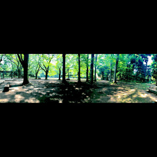 ぱのぱの（写真集） - 5