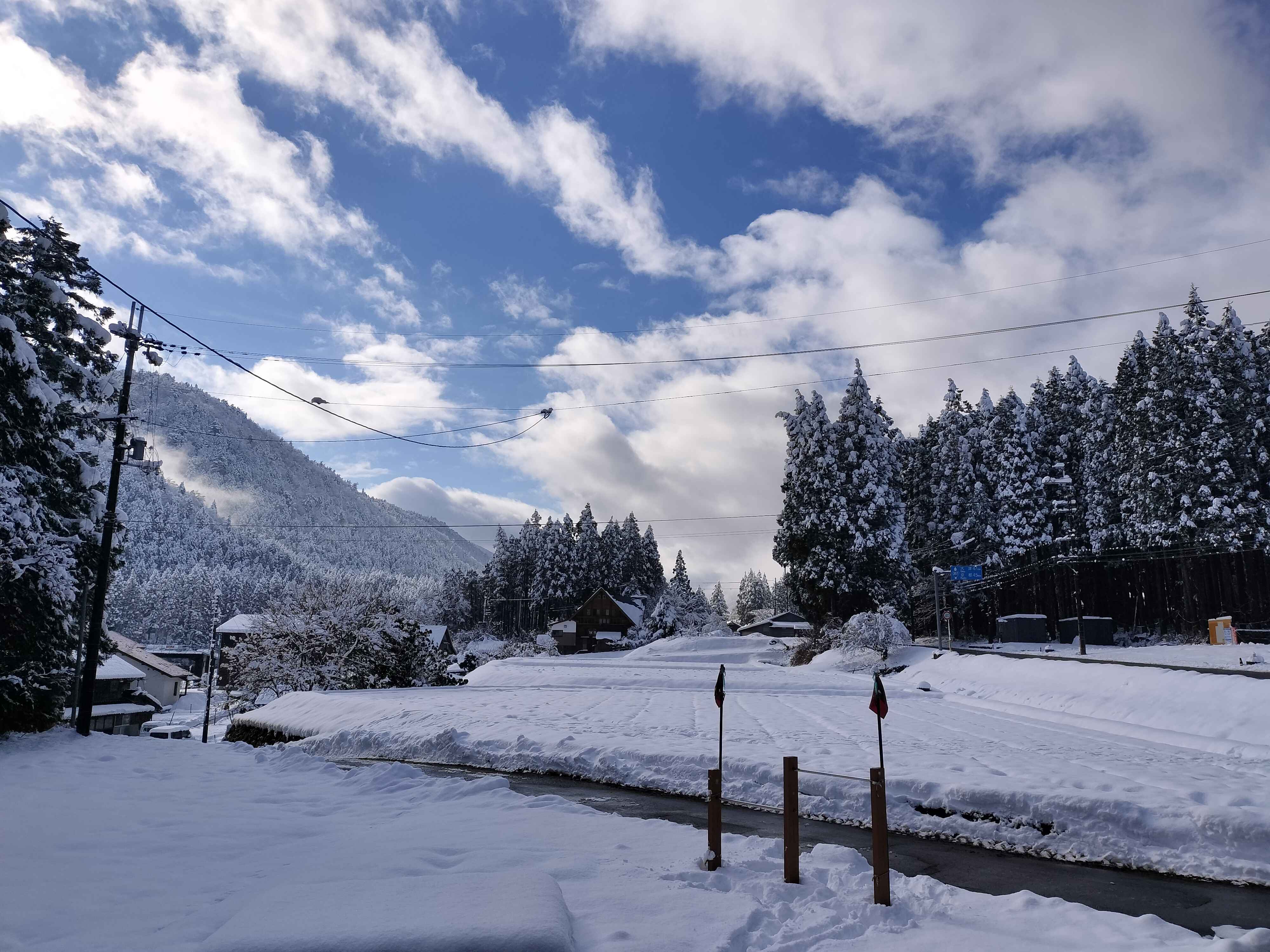 【お試し5合 NFT付き】令和7年産 きぬむすめ 滋賀県高島市産 近江米 自家製 産地直送 精米・玄米重量 <残留農薬検査実施済み> - 2
