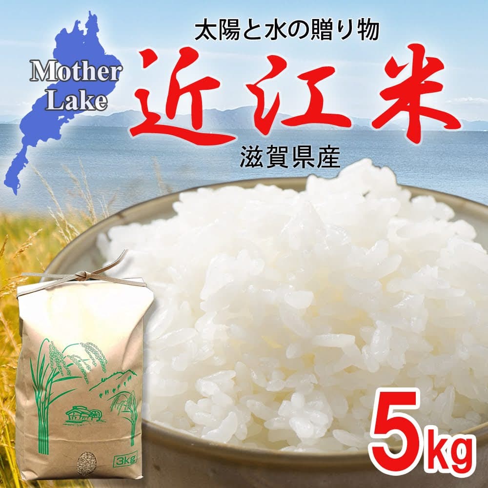【5kg NFT付き】令和7年産 きぬむすめ 滋賀県高島市産 近江米 自家製 産地直送 玄米重量 <残留農薬検査実施済み>