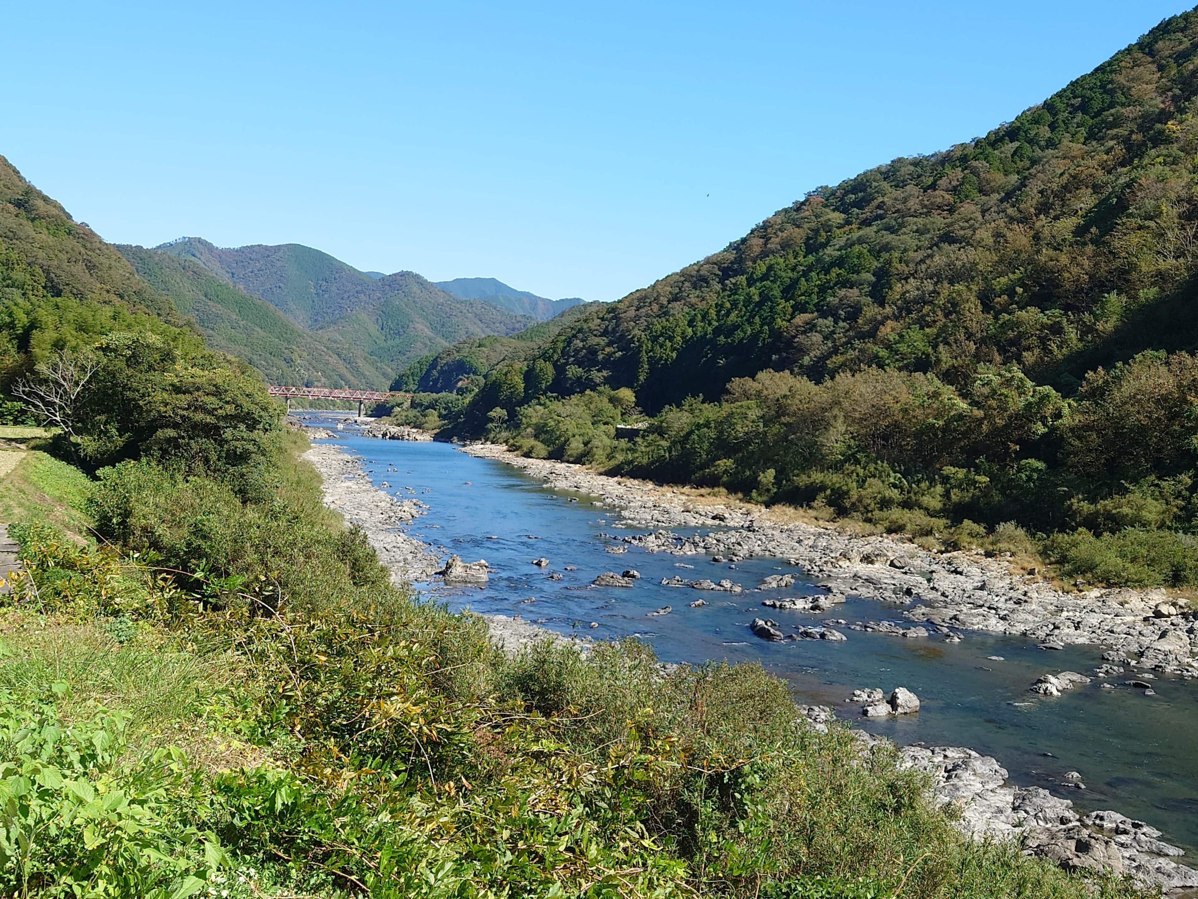 森の風 hero image